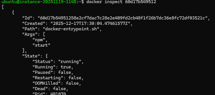 Terminal Docker - Container em execução
